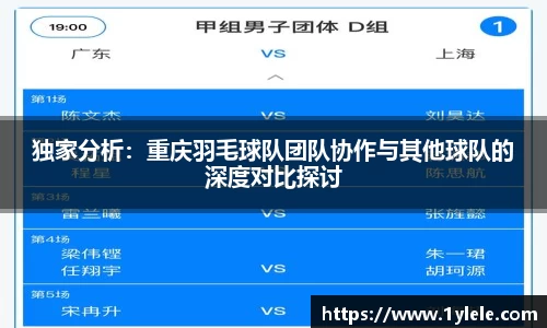 独家分析：重庆羽毛球队团队协作与其他球队的深度对比探讨