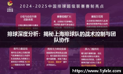 排球深度分析：揭秘上海排球队的战术控制与团队协作