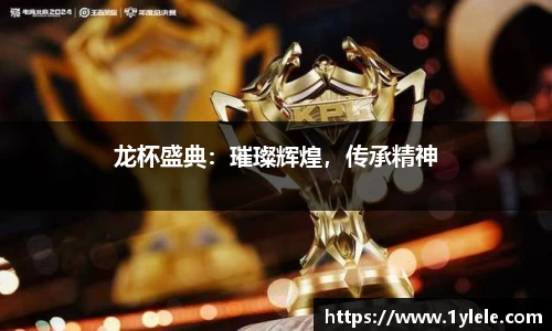 龙杯盛典：璀璨辉煌，传承精神