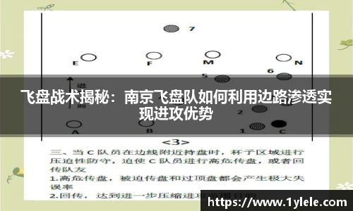 飞盘战术揭秘：南京飞盘队如何利用边路渗透实现进攻优势
